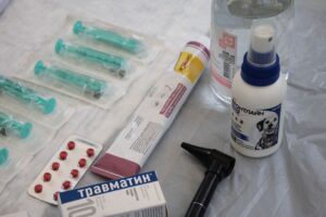 시그니아 독일보청기 오산센터 · 동탄센터 ototoxicity
